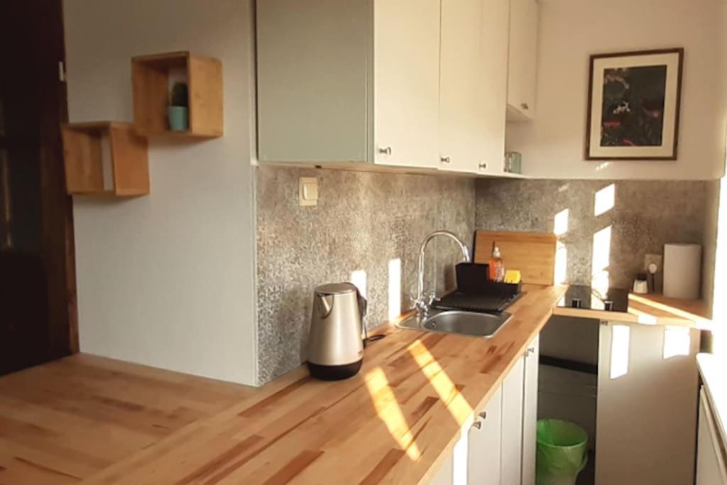 Lemuria Apartament Szkolna Centrum レグニツァ エクステリア 写真