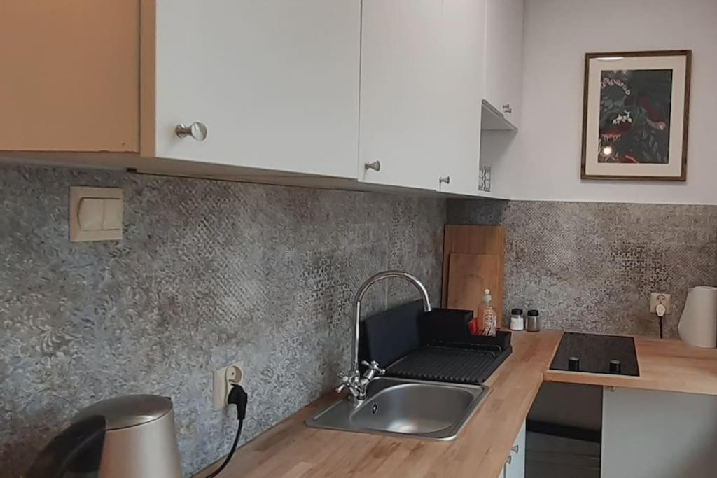 Lemuria Apartament Szkolna Centrum レグニツァ エクステリア 写真