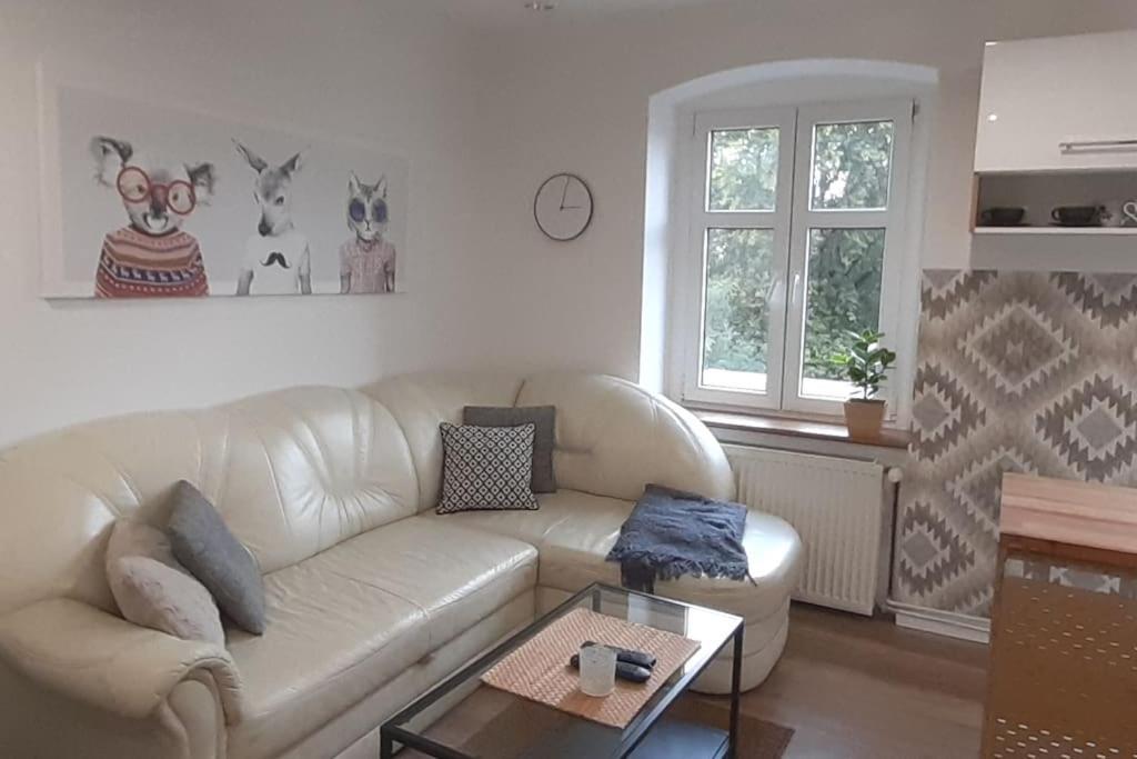 Lemuria Apartament Szkolna Centrum レグニツァ エクステリア 写真