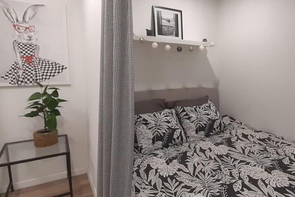 Lemuria Apartament Szkolna Centrum レグニツァ エクステリア 写真