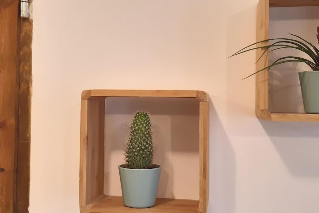 Lemuria Apartament Szkolna Centrum レグニツァ エクステリア 写真